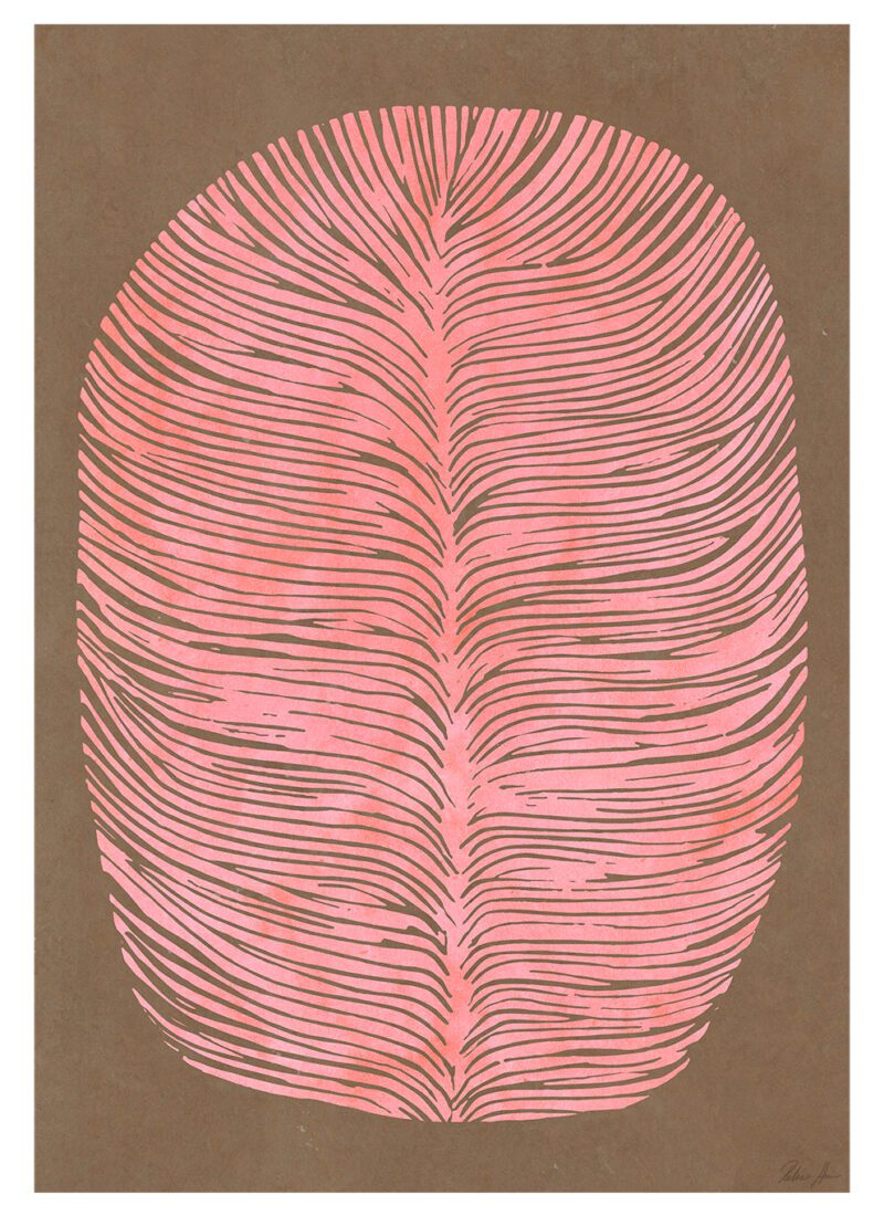Pink Lagoon Pink Lagoon