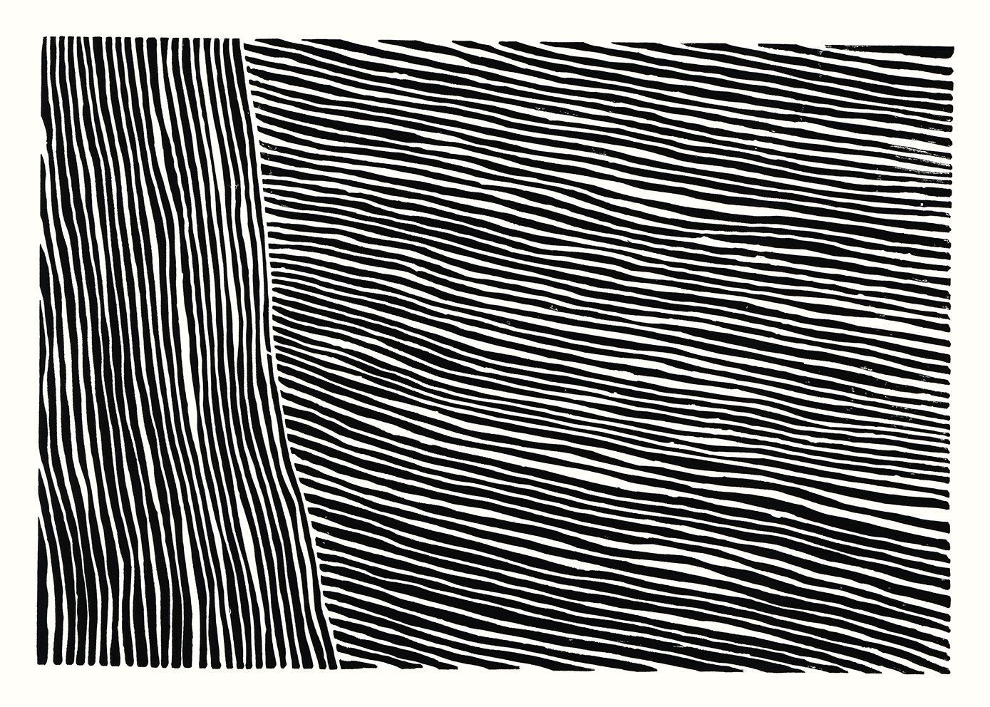 The Line no. 02 The Line no. 02